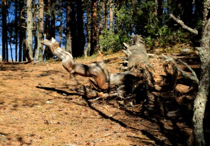 Isoniemi Oulu 20140529