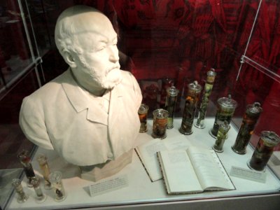 Isaak Blum memorial - Naturmuseum Senckenberg - DSC02221