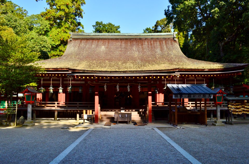 Isonokami-jingu, haiden-1