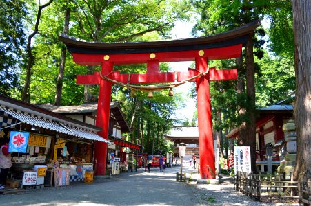Isasumi-jinja torii