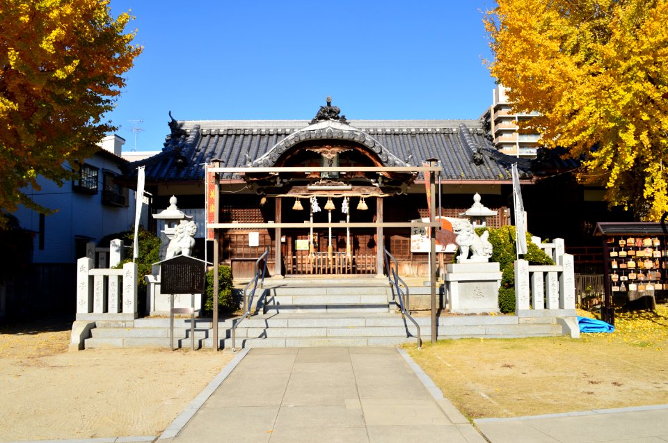 Isagu-jinja, haiden-2