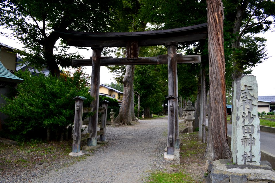 Isagoda-jinja ninotorii