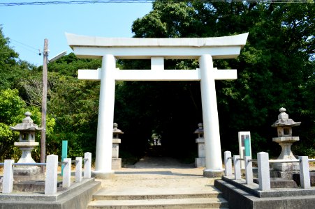 Itate-jinja (Wakayama) torii