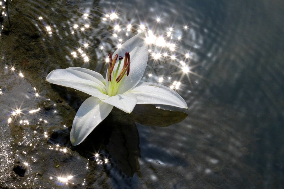 Reflection white shine