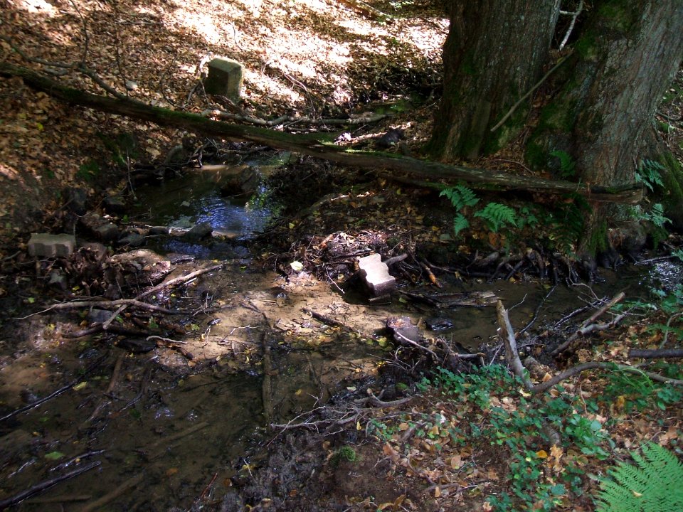 Issel Teich Münster Gabelung