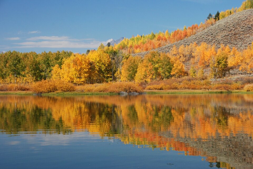 Reflection oxbow bend grand teton national park