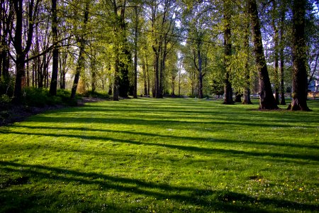 Isaac Evans Park