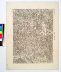 Isny und Immenstadt. NYPL1226580