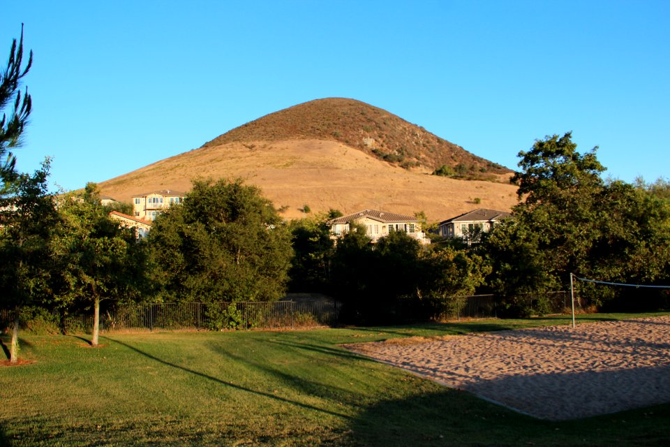 Islay Hill, July 2015