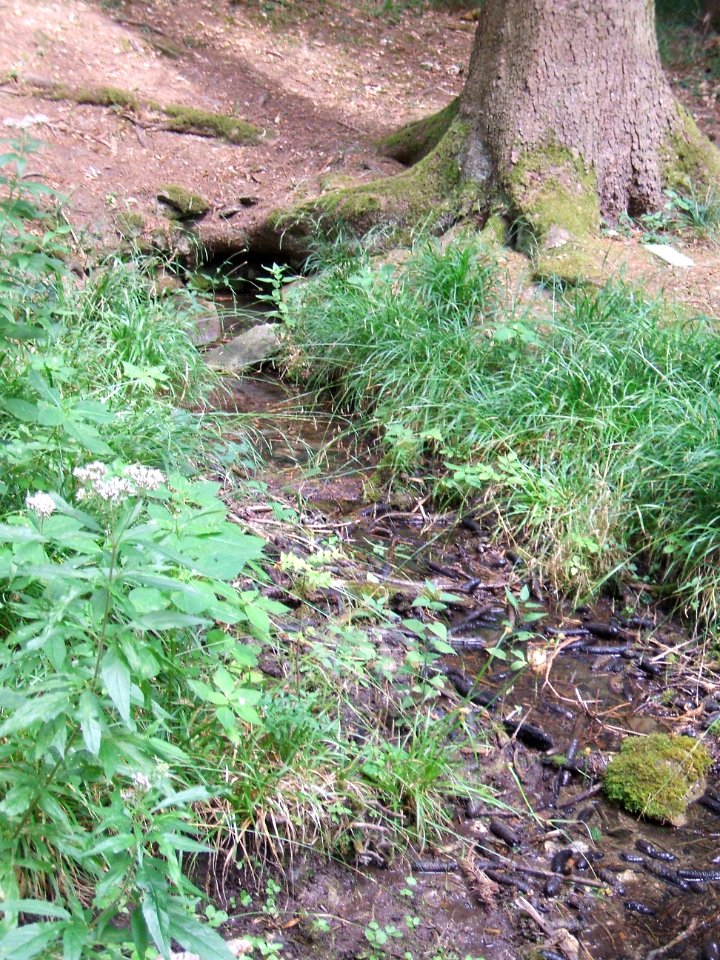 Issel-Quelle, Übersicht 2
