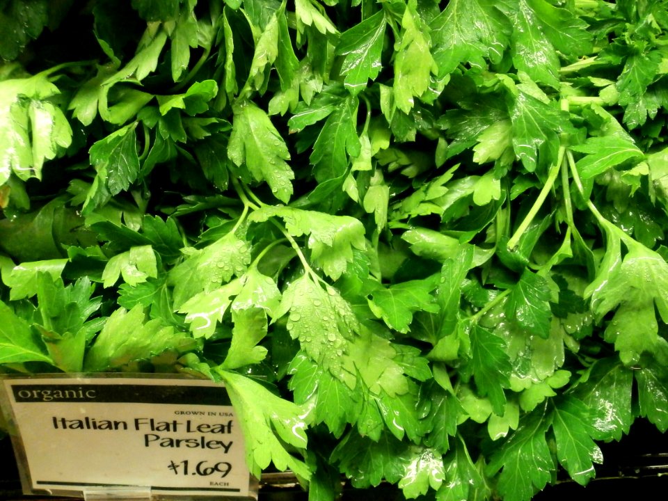 Italian flat leaf parsley