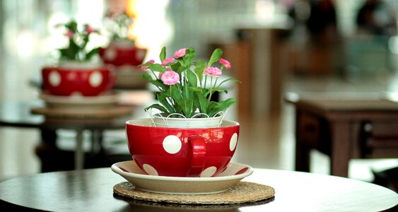 Table arrangement design