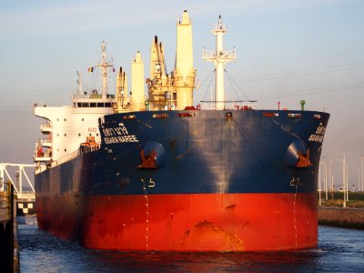 Issara Naree (ship, 2014) - IMO 9732187, Port of Antwerp, pic2