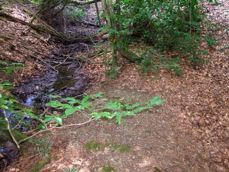 Issel rechter Zufluss in Umleitung mit Damm
