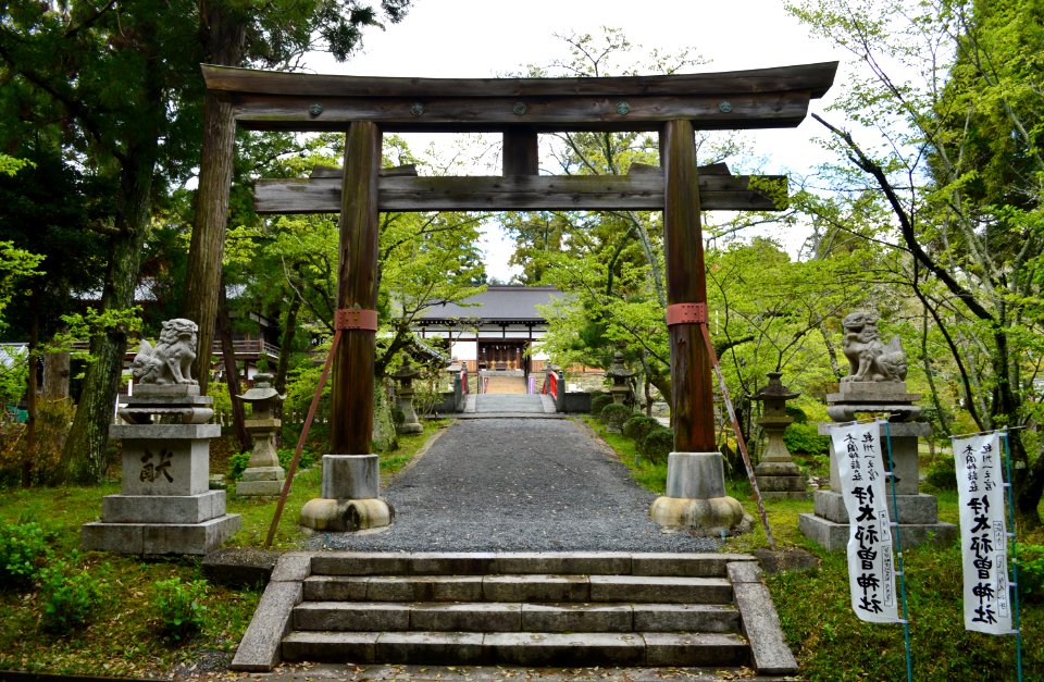 Itakiso-jinja, torii-1