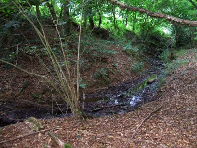 Issel umrundet von Osten Teich Münster