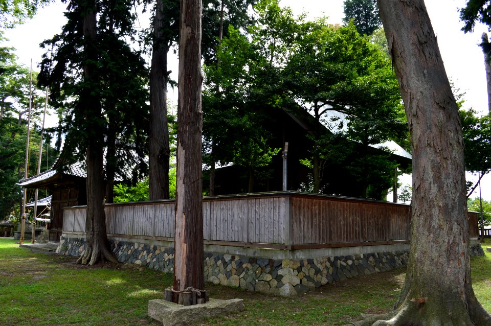 Isagoda-jinja honden