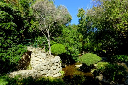 Isamu Taniguchi Japanese Garden - Zilker Botanical Garden - Austin, Texas - DSC09089