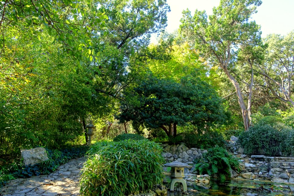 Isamu Taniguchi Japanese Garden - Zilker Botanical Garden - Austin, Texas - DSC09099
