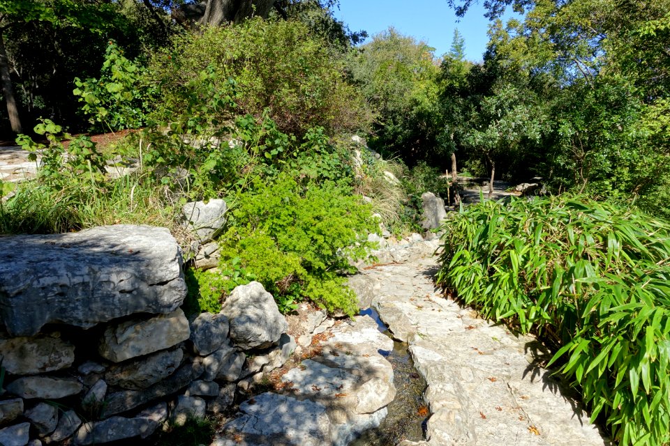 Isamu Taniguchi Japanese Garden - Zilker Botanical Garden - Austin, Texas - DSC09065