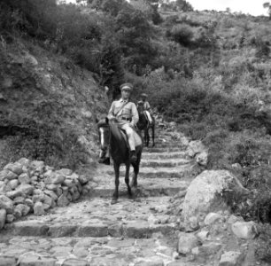 JB Halley op een paard op een weg op Saba, Bestanddeelnr 252-8244
