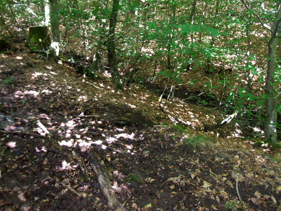 Issel rechter Zufluss Ex-Weg Quelle Abfluss