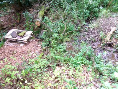 Issel rechter Zufluss mündet in Kanalschacht