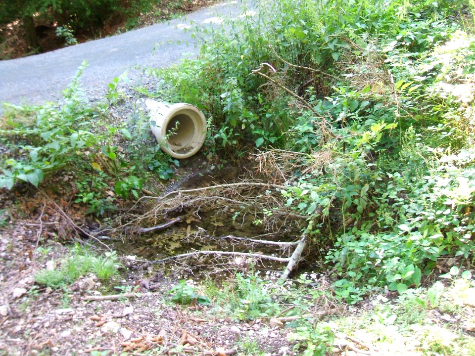 Issel rechter Zufluss östlicher Quellast Tümpel Weg