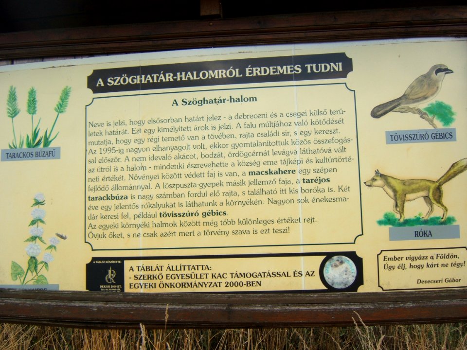 Ismertető tábla a Szöghatár-halomnál