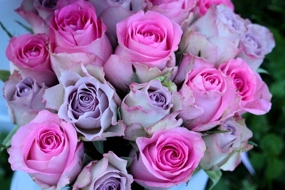 Bouquet mov flowers