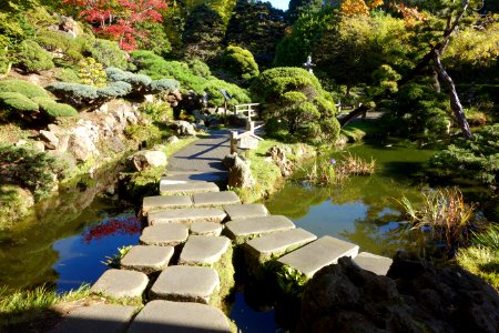 Japanese Tea Garden (San Francisco) - DSC00164 photo