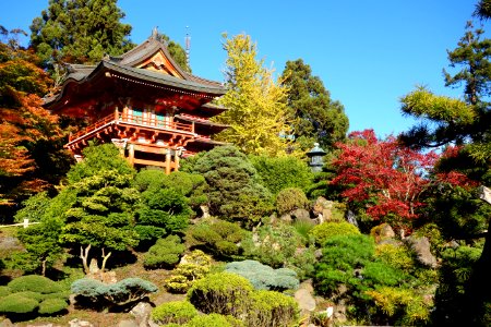 Japanese Tea Garden (San Francisco) - DSC00166 photo