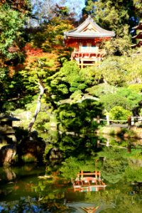 Japanese Tea Garden (San Francisco) - DSC00183 photo