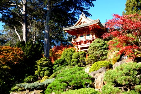 Japanese Tea Garden (San Francisco) - DSC00187 photo