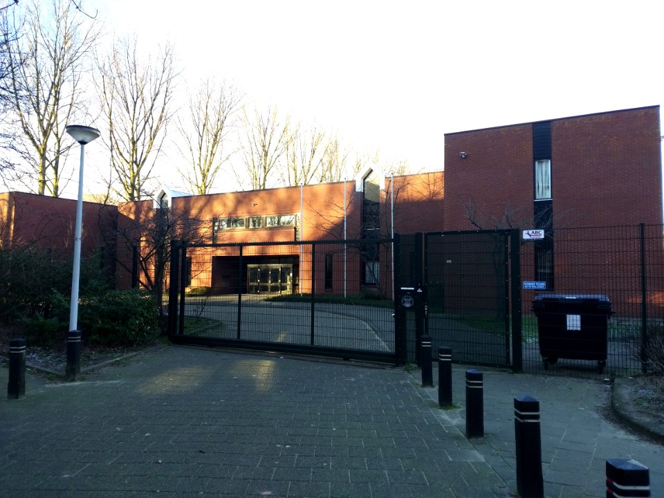 Japanese school of amsterdam