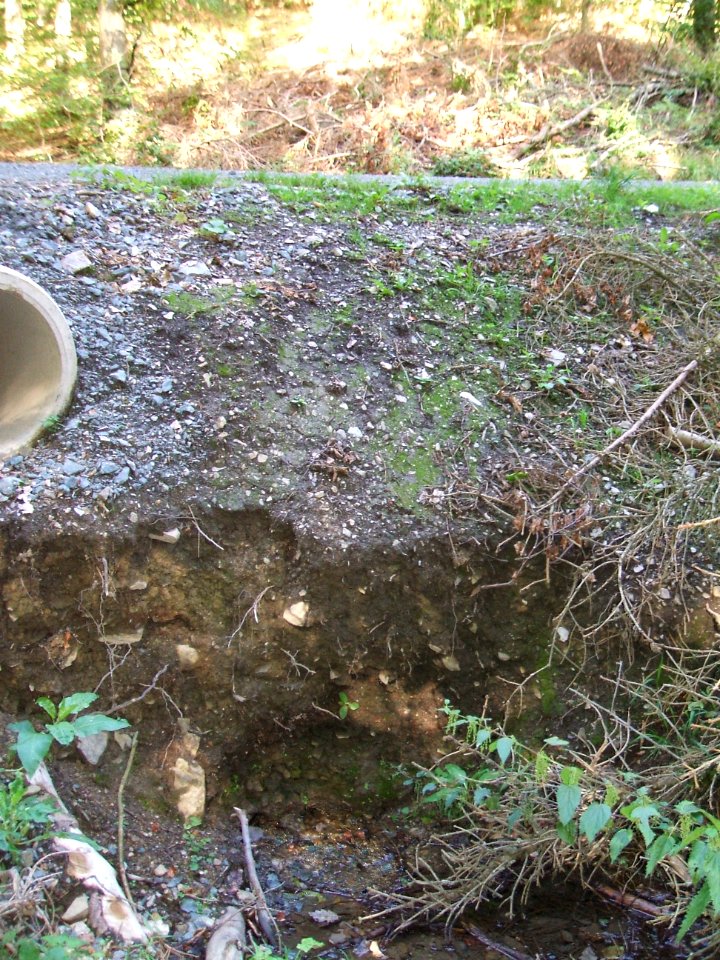 Issel rechter Zufluss östlicher Quellast Quelle unter Weg