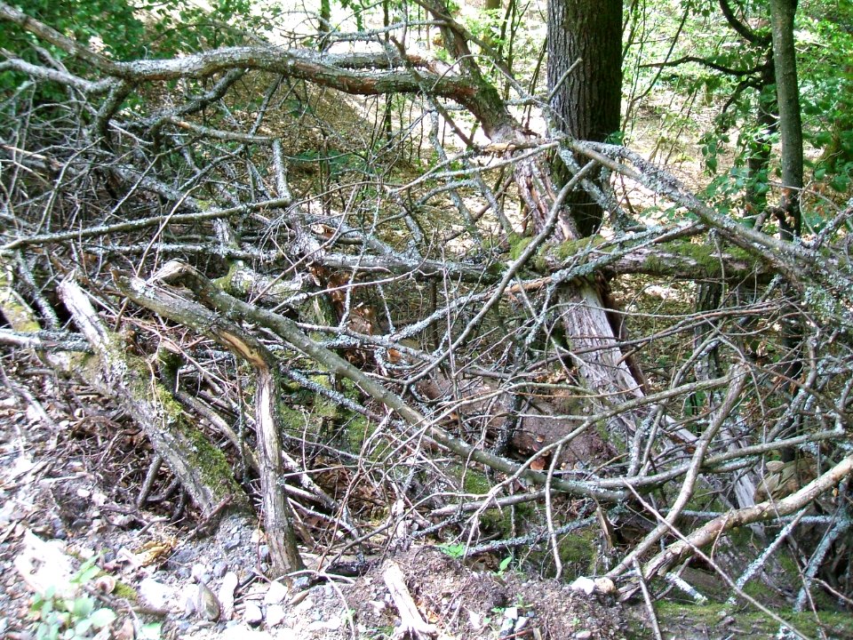 Issel rechter Zufluss Verbau Weg 1