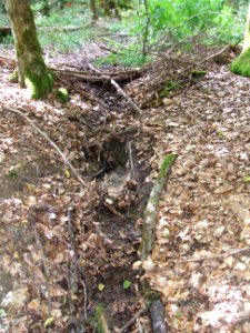 Issel rechter Zufluss 2. Zufluss Preußen Quelle mittel