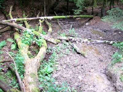 Issel rechter Zufluss 2. Zufluss Preußen Quelle Anfang