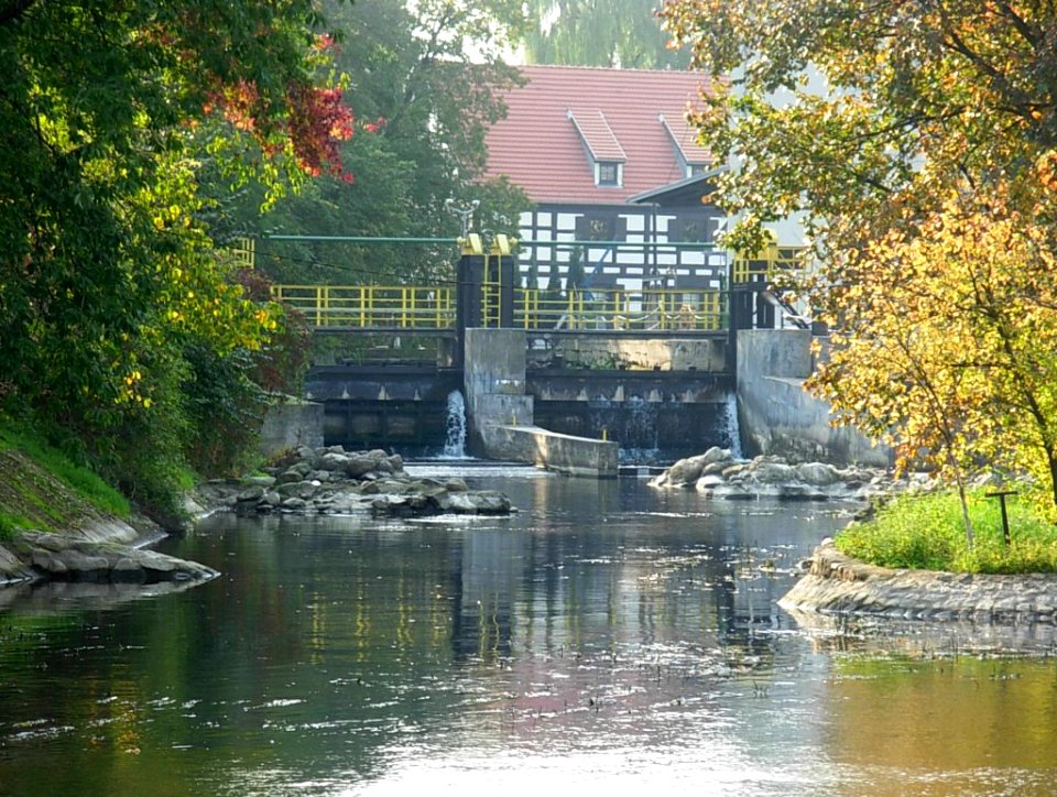 Jaz Farny Bydgoszcz a