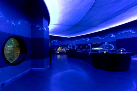 Istanbul Aquarium معماری مدرن