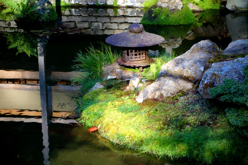 Japanese Tea Garden (San Francisco) - DSC00144