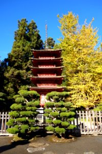 Japanese Tea Garden (San Francisco) - DSC00159 photo