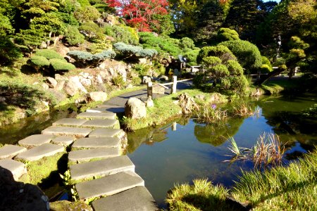 Japanese Tea Garden (San Francisco) - DSC00165 photo