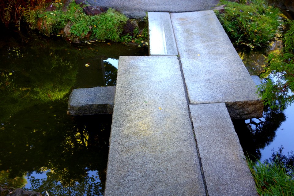 Japanese Tea Garden (San Francisco) - DSC00192