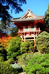 Japanese Tea Garden (San Francisco) - DSC00186 photo