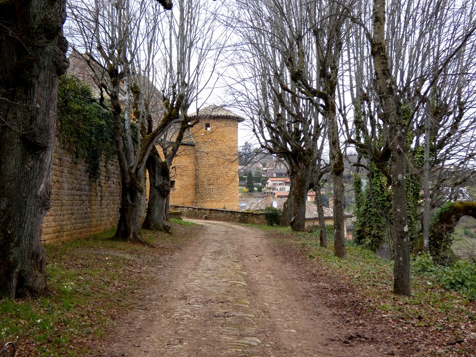 Jarnioux - Allée menant au château, depuis la rue du Château
