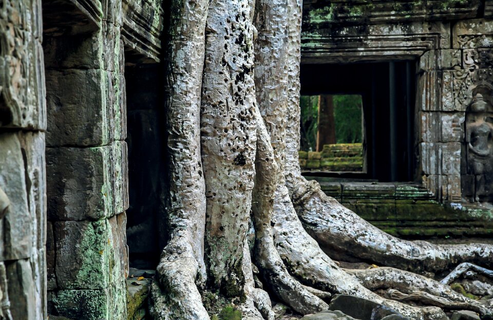 Angkor wat campo asia world heritage site