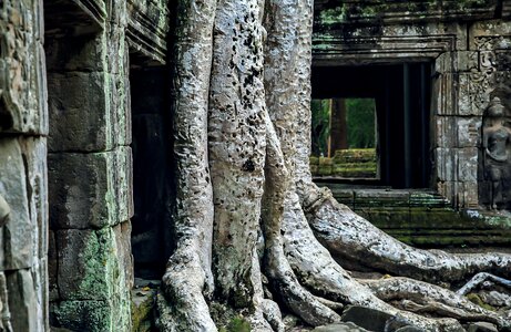 Angkor wat campo asia world heritage site