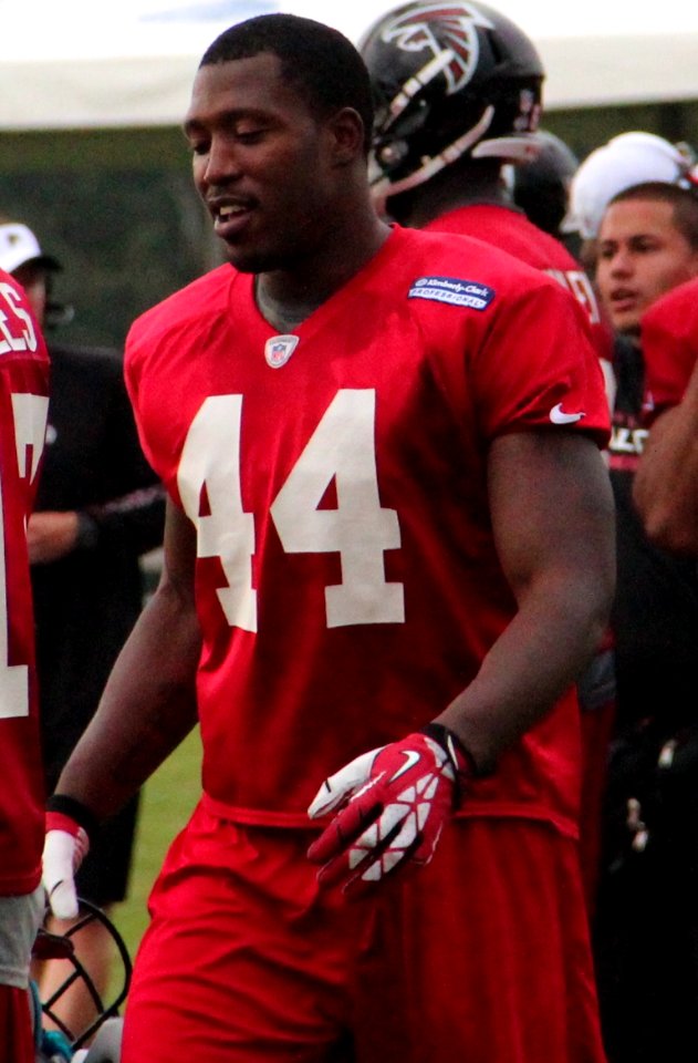 Jason Snelling 2013